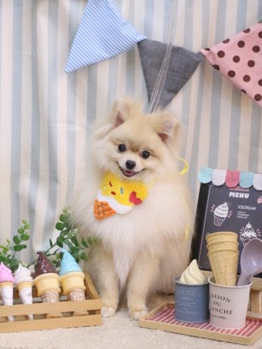 20250507クーくん